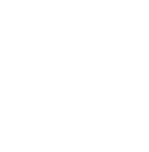 Logo White Turtle Tech